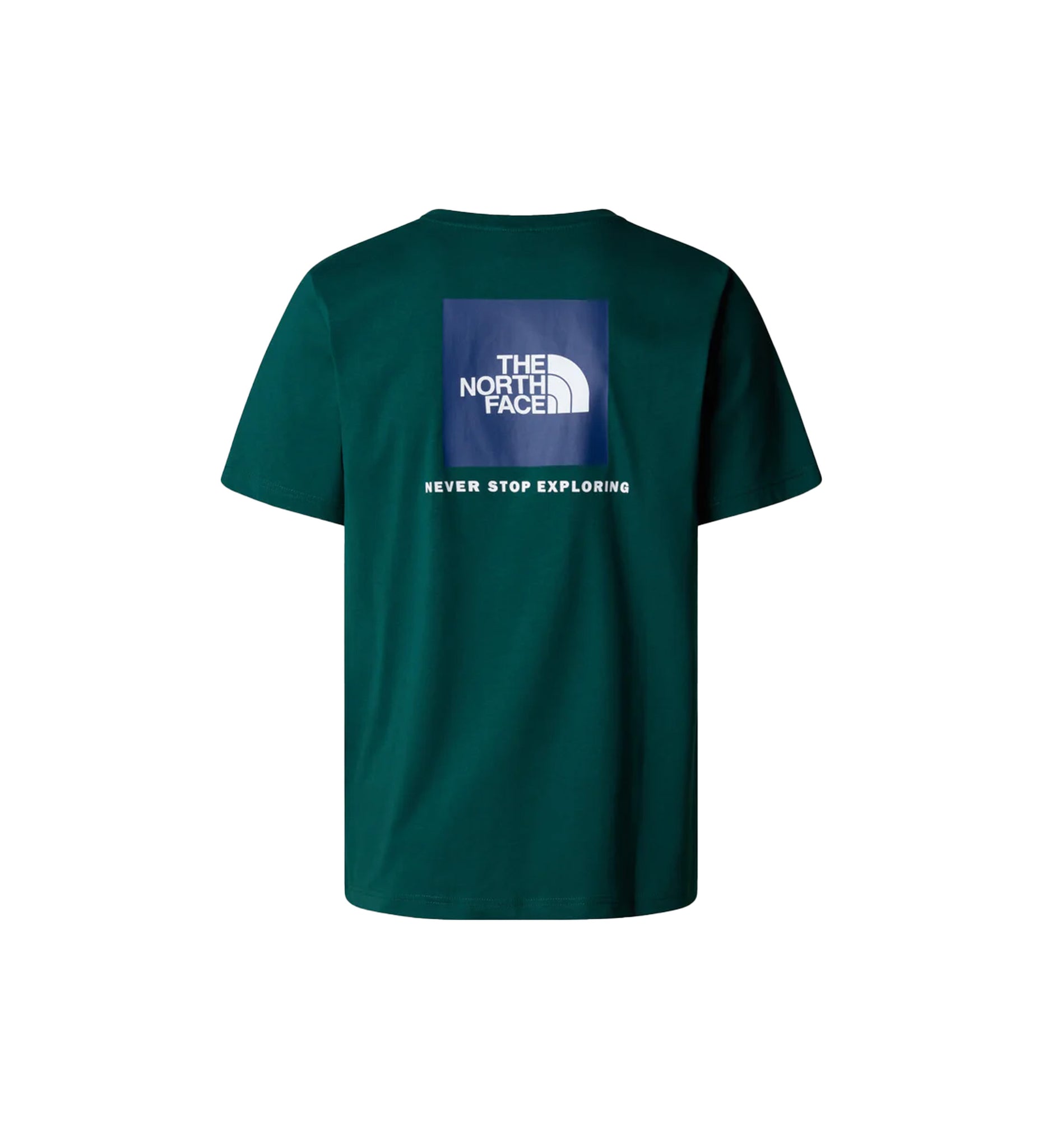 The North Face Men’S S/S Box Nse Tee