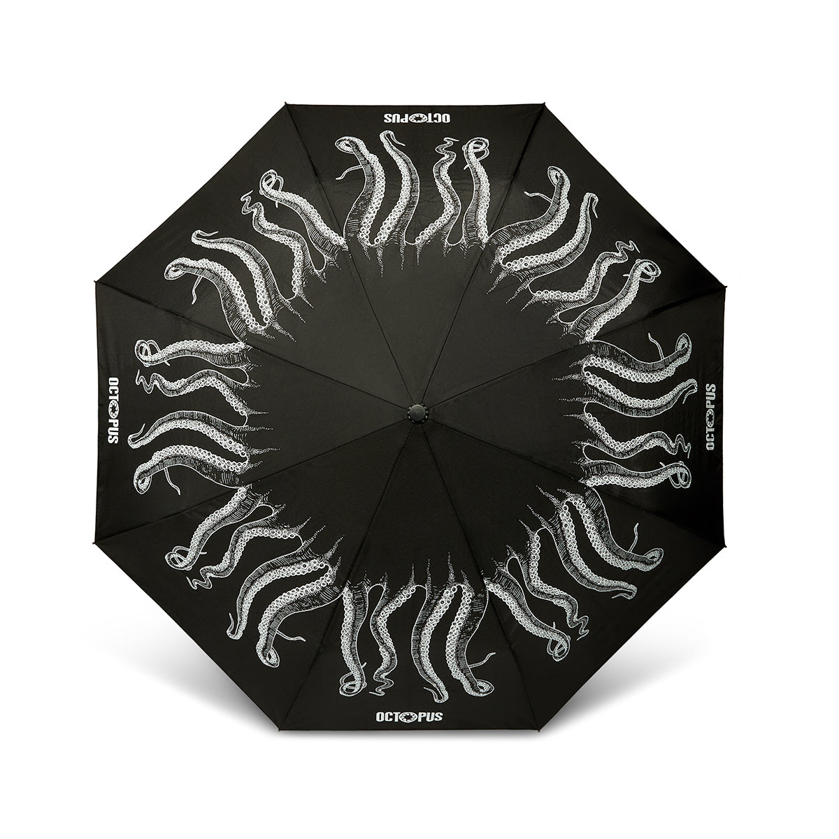 Octopus Outline Umbrella Polipi.