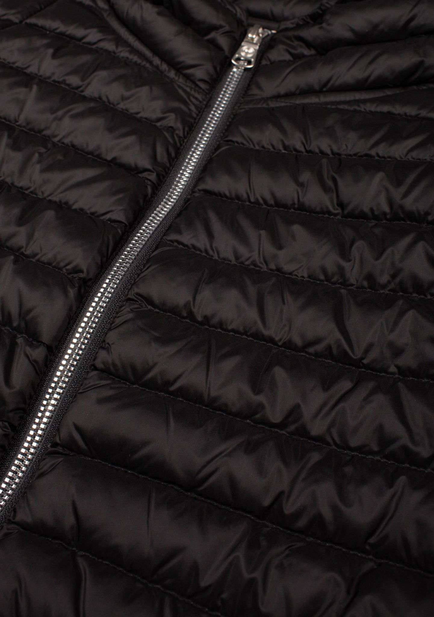 Giacca Colmar Punk Crema Nero