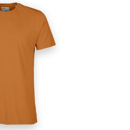 T-Shirt Colorful Standard Cotone Organico Ginger Unisex