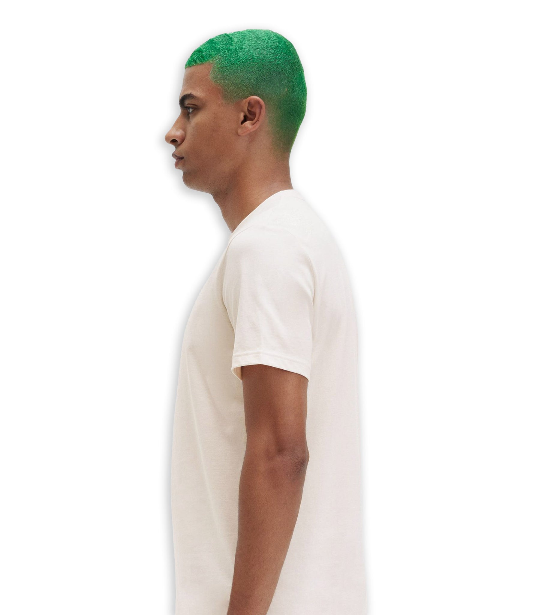 T-Shirt Fred Perry Laurel Wreath Pesca Uomo